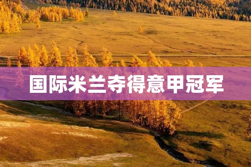国际米兰夺得意甲冠军:巅峰时刻的背后 国际米兰夺得意甲冠军:巅峰时刻的背后