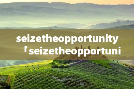 seizetheopportunity「seizetheopportunity翻译」