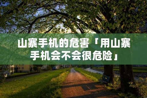 山寨手机的危害「用山寨手机会不会很危险」