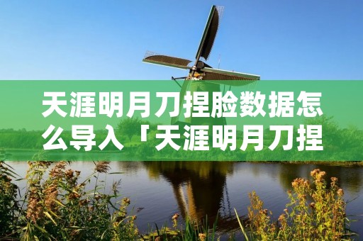 天涯明月刀捏脸数据怎么导入「天涯明月刀捏脸数据导入后说与性别不符」 天涯明月刀捏脸数据怎么导入「天涯明月刀捏脸数据导入后说与性别不符」