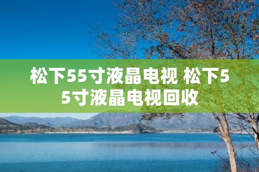 松下55寸液晶电视 松下55寸液晶电视回收