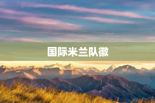 国际米兰队徽：传承与演变