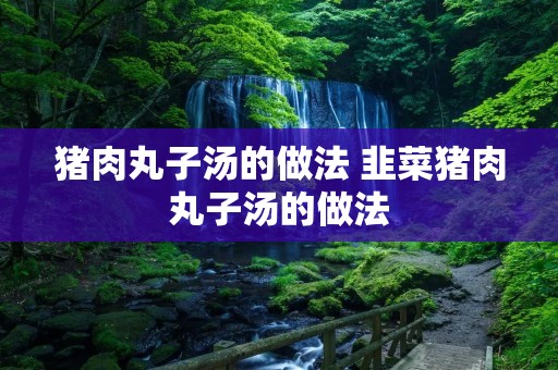 猪肉丸子汤的做法 韭菜猪肉丸子汤的做法