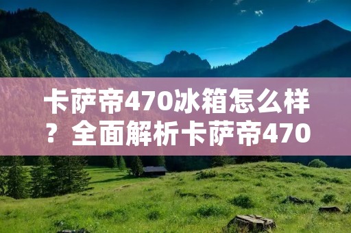 卡萨帝470冰箱怎么样？全面解析卡萨帝470冰箱的性能与特点