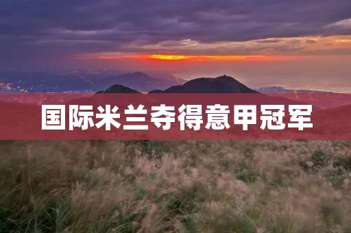 国际米兰夺得意甲冠军：历经风雨终成王者