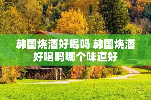 韩国烧酒好喝吗 韩国烧酒好喝吗哪个味道好 韩国烧酒好喝吗 韩国烧酒好喝吗哪个味道好