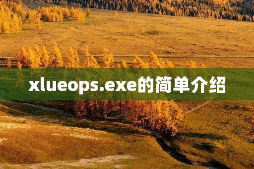 xlueops.exe的简单介绍 xlueops.exe的简单介绍