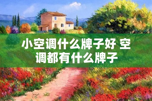 小空调什么牌子好 空调都有什么牌子 小空调什么牌子好 空调都有什么牌子