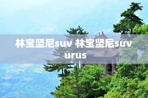 林宝坚尼suv 林宝坚尼suv urus