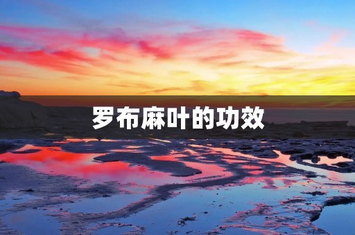罗布麻叶的功效