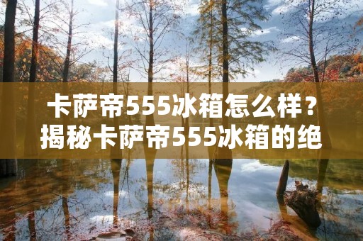 卡萨帝555冰箱怎么样？揭秘卡萨帝555冰箱的绝佳性能与品质！