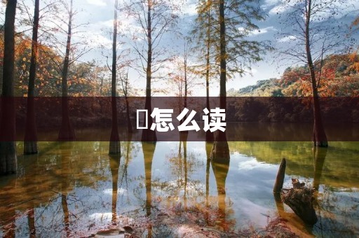 燊怎么读:揭秘这个神秘的名字