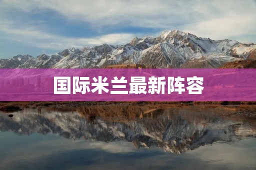 国际米兰最新阵容:球队实力大幅提升,冲击欧冠豪取佳绩 国际米兰最新阵容:球队实力大幅提升,冲击欧冠豪取佳绩