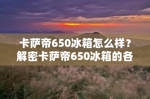 卡萨帝650冰箱怎么样?解密卡萨帝650冰箱的各项优势与性能 卡萨帝650冰箱怎么样?解密卡萨帝650冰箱的各项优势与性能