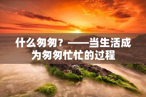 什么匆匆?——当生活成为匆匆忙忙的过程