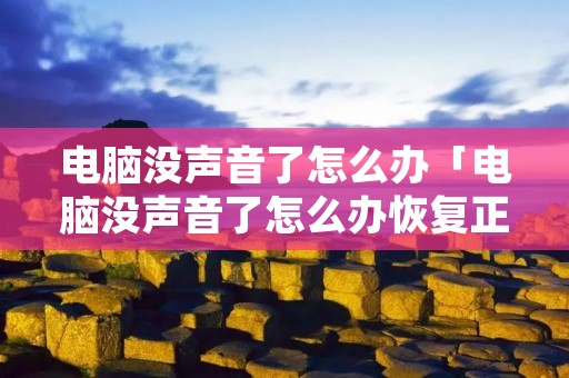 电脑没声音了怎么办「电脑没声音了怎么办恢复正常win11」