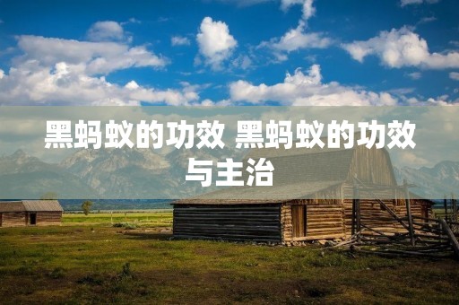 黑蚂蚁的功效 黑蚂蚁的功效与主治 黑蚂蚁的功效 黑蚂蚁的功效与主治