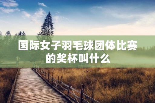 国际女子羽毛球团体比赛的奖杯叫什么