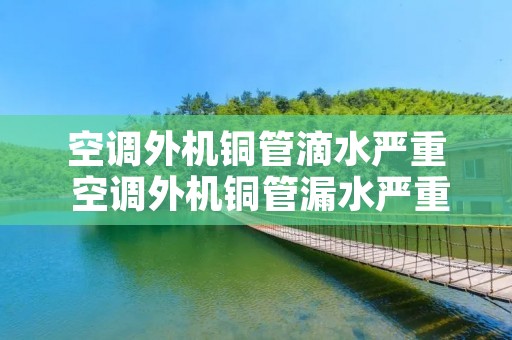 空调外机铜管滴水严重 空调外机铜管漏水严重