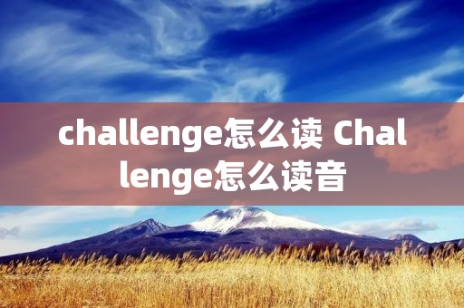 challenge怎么读 Challenge怎么读音