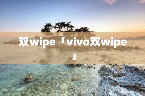 双wipe「vivo双wipe」