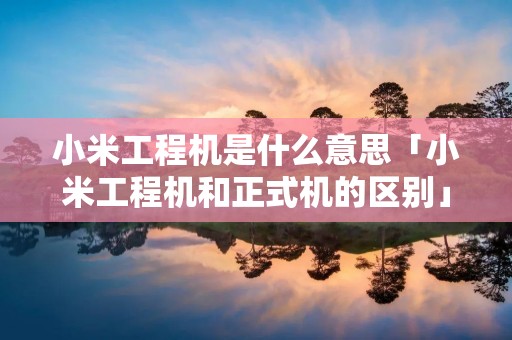 小米工程机是什么意思「小米工程机和正式机的区别」