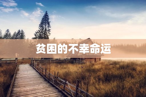 贫困的不幸命运:探究穷困的各类表达方式