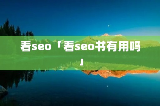 看seo「看seo书有用吗」