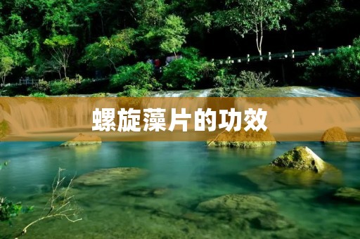 螺旋藻片的功效：提高免疫力，改善睡眠质量，促进消化吸收