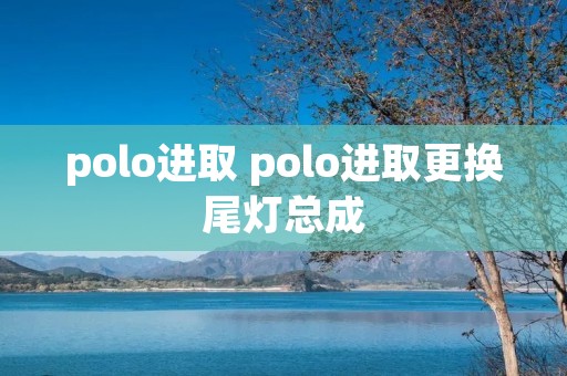 polo进取 polo进取更换尾灯总成