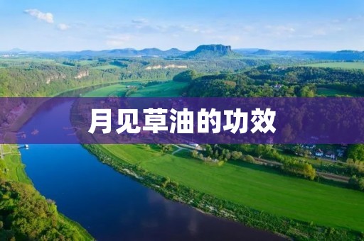 月见草油的功效：解读这种神奇植物的健康奥秘