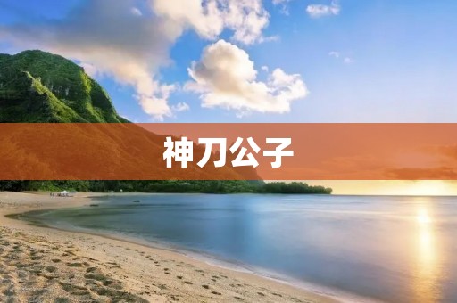 神刀公子:纵横江湖的刀客传奇