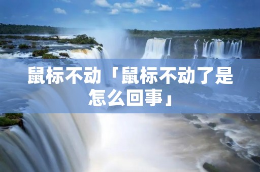 鼠标不动「鼠标不动了是怎么回事」