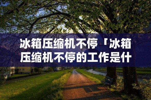 冰箱压缩机不停「冰箱压缩机不停的工作是什么原因」