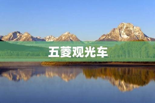 五菱观光车：舒适便捷的旅行选择