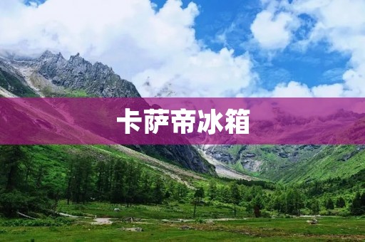 卡萨帝冰箱：为何如此昂贵？