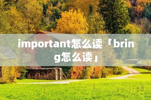 important怎么读「bring怎么读」