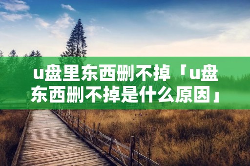 u盘里东西删不掉「u盘东西删不掉是什么原因」