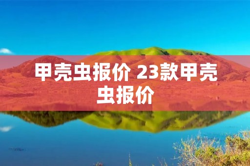 甲壳虫报价 23款甲壳虫报价