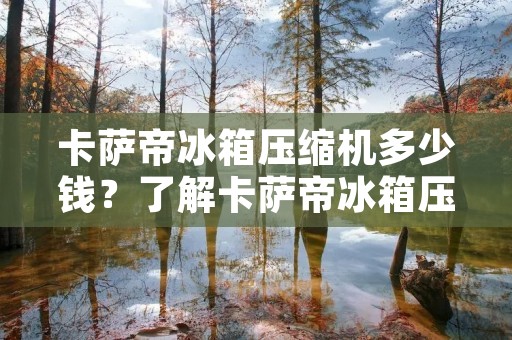 卡萨帝冰箱压缩机多少钱？了解卡萨帝冰箱压缩机价格的重要因素