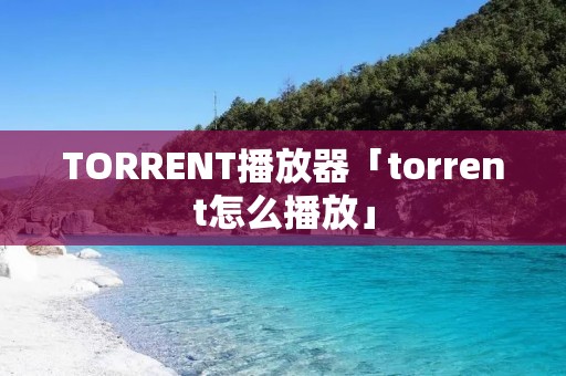 TORRENT播放器「torrent怎么播放」