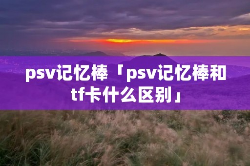 psv记忆棒「psv记忆棒和tf卡什么区别」