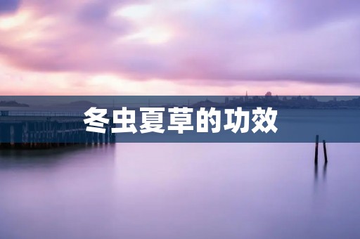 冬虫夏草的功效：探寻神奇草药的健康力量