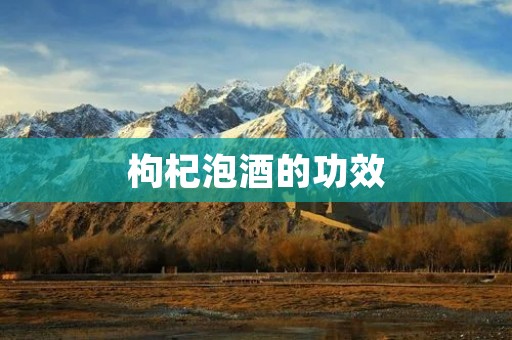 枸杞泡酒的功效：美容养颜、提高免疫力、改善睡眠、保护肝脏