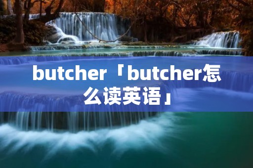 butcher「butcher怎么读英语」