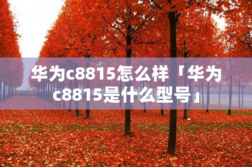 华为c8815怎么样「华为c8815是什么型号」 华为c8815怎么样「华为c8815是什么型号」