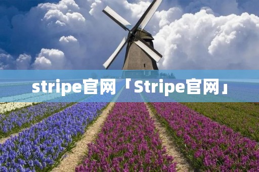 stripe官网「Stripe官网」