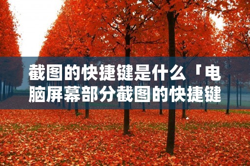 截图的快捷键是什么「电脑屏幕部分截图的快捷键是什么」