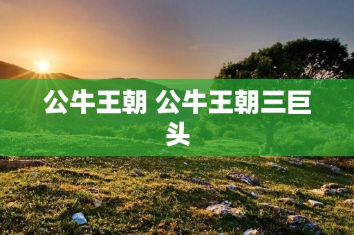 公牛王朝 公牛王朝三巨头 公牛王朝 公牛王朝三巨头