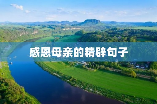 感恩母亲的精辟句子 感恩母亲的精辟句子